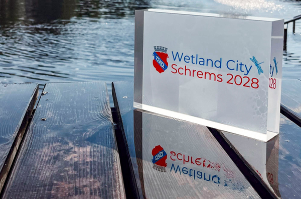 Netzwerktreffen Stadtamt